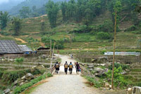 sapa trekking and homestay